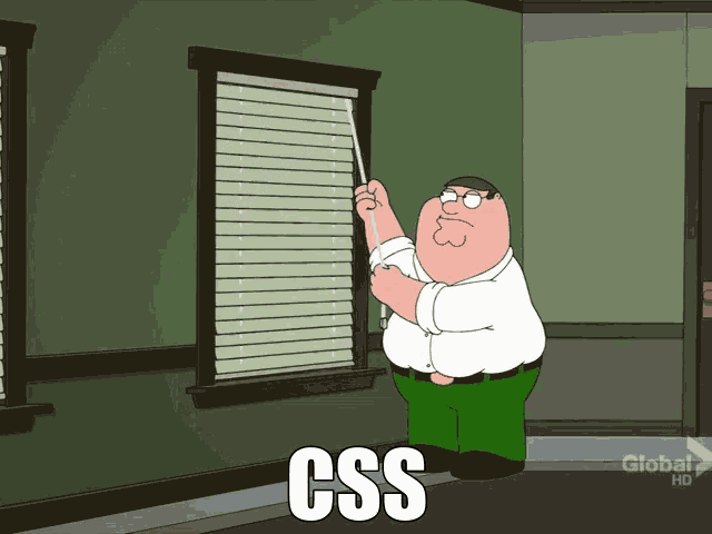 This is the scene from Family Guy where Peter Griffin is yanking on the blinds over and over and over. It's captioned, CSS.